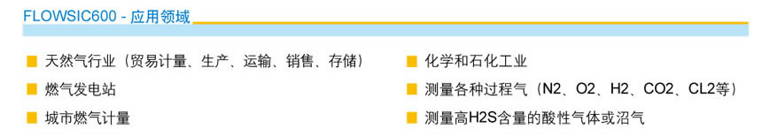 FLOWSIC600  應用領域